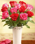 send gift to bangladesh, send gifts to bangladesh, send 12 Mix Rose With  Vase to bangladesh, bangladeshi 12 Mix Rose With  Vase, bangladeshi gift, send 12 Mix Rose With  Vase on valentinesday to bangladesh, 12 Mix Rose With  Vase