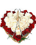 send gift to bangladesh, send gifts to bangladesh, send Heart  with 100 Pcs Rose to bangladesh, bangladeshi Heart  with 100 Pcs Rose, bangladeshi gift, send Heart  with 100 Pcs Rose on valentinesday to bangladesh, Heart  with 100 Pcs Rose