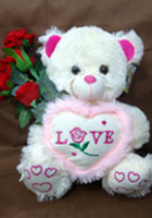 send gifts to bangladesh, send gift to bangladesh, banlgadeshi gifts, bangladeshi 100 % Love Teddy
