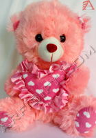 send gifts to bangladesh, send gift to bangladesh, banlgadeshi gifts, bangladeshi Cute Teddy Bear