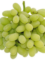 send gift to bangladesh, send gifts to bangladesh, send সবুজ আঙ্গুর/Green Grapes to bangladesh, bangladeshi সবুজ আঙ্গুর/Green Grapes, bangladeshi gift, send সবুজ আঙ্গুর/Green Grapes on valentinesday to bangladesh, সবুজ আঙ্গুর/Green Grapes