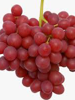 send gift to bangladesh, send gifts to bangladesh, send লাল আঙ্গুর / Red Grapes to bangladesh, bangladeshi লাল আঙ্গুর / Red Grapes, bangladeshi gift, send লাল আঙ্গুর / Red Grapes on valentinesday to bangladesh, লাল আঙ্গুর / Red Grapes
