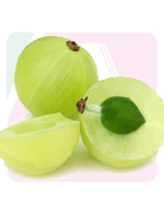 send gift to bangladesh, send gifts to bangladesh, send নাশপাতি / Pears to bangladesh, bangladeshi নাশপাতি / Pears, bangladeshi gift, send নাশপাতি / Pears on valentinesday to bangladesh, নাশপাতি / Pears