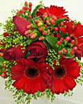 send gift to bangladesh, send gifts to bangladesh, send  Gerbera With Rose to bangladesh, bangladeshi  Gerbera With Rose, bangladeshi gift, send  Gerbera With Rose on valentinesday to bangladesh,  Gerbera With Rose