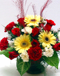 send gift to bangladesh, send gifts to bangladesh, send  Rose & Thai Carnation to bangladesh, bangladeshi  Rose & Thai Carnation, bangladeshi gift, send  Rose & Thai Carnation on valentinesday to bangladesh,  Rose & Thai Carnation