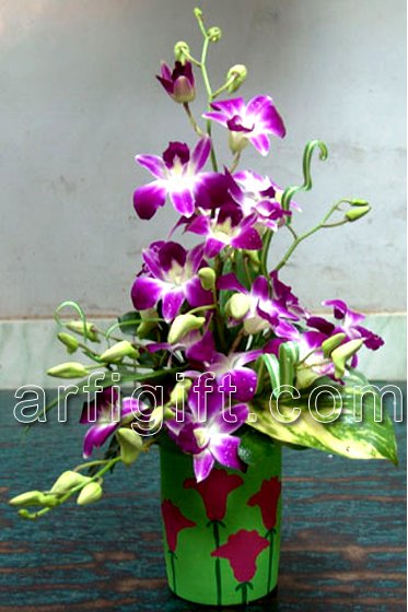 Send Orchid With Vase to Bangladesh, Send gifts to Bangladesh