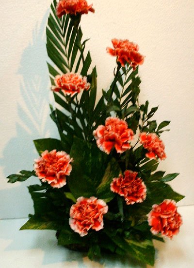 Send Carnations to Bangladesh, Send gifts to Bangladesh