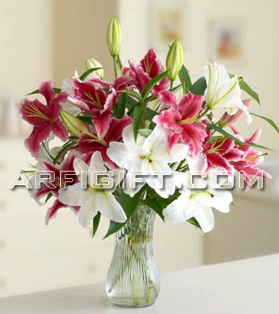 Send Thailand Lily with Vase to Bangladesh, Send gifts to Bangladesh