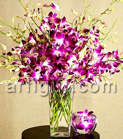 Send Orchid + Vase to Bangladesh, Send gifts to Bangladesh