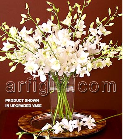 Send White Orchid + Vase to Bangladesh, Send gifts to Bangladesh