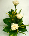 send gifts to bangladesh, send gift to bangladesh, banlgadeshi gifts, bangladeshi Thailand White Rose
