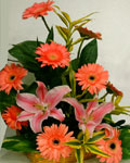 send gifts to bangladesh, send gift to bangladesh, banlgadeshi gifts, bangladeshi Thailand Flower