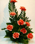 send gifts to bangladesh, send gift to bangladesh, banlgadeshi gifts, bangladeshi Carnations