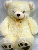 send gifts to bangladesh, send gift to bangladesh, banlgadeshi gifts, bangladeshi Soft Teddy Bear 