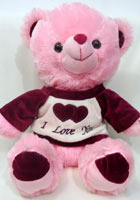 send gifts to bangladesh, send gift to bangladesh, banlgadeshi gifts, bangladeshi Pink Teddy Bear