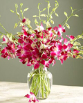 send gifts to bangladesh, send gift to bangladesh, banlgadeshi gifts, bangladeshi Red Orchid + Vase