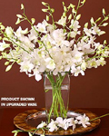 send gifts to bangladesh, send gift to bangladesh, banlgadeshi gifts, bangladeshi White Orchid + Vase