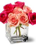 send gifts to bangladesh, send gift to bangladesh, banlgadeshi giftsValentine's Roses