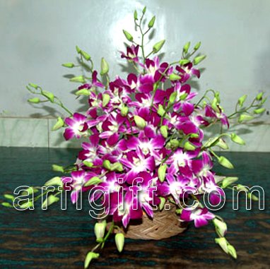 Send Orchid Basket to Bangladesh, Send gifts to Bangladesh