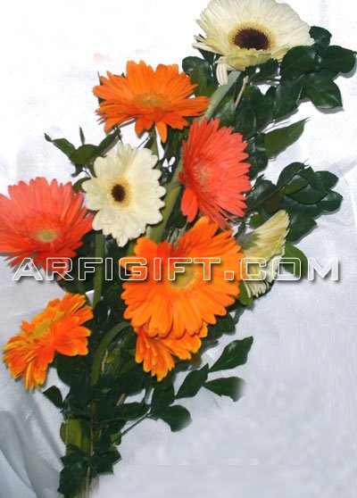 Send Exclusive Gerbera  to Bangladesh, Send gifts to Bangladesh