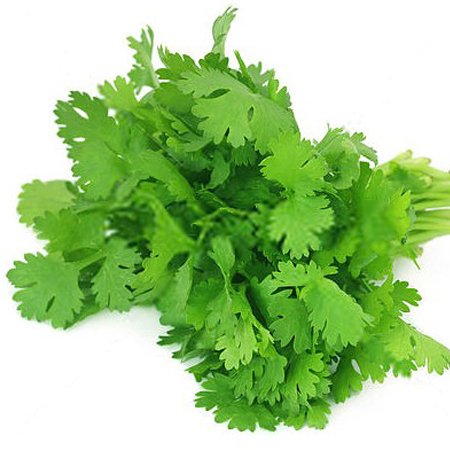 Send ধনিয়া পাতা / Coriander leaf to Bangladesh, Send gifts to Bangladesh