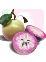 Send Star Apple to Bangladesh, Send gifts to Bangladesh