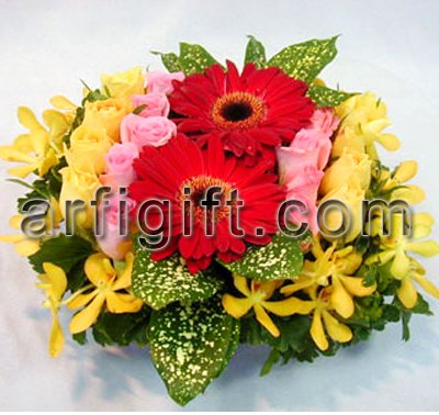 Send  Gerbera With Rose to Bangladesh, Send gifts to Bangladesh