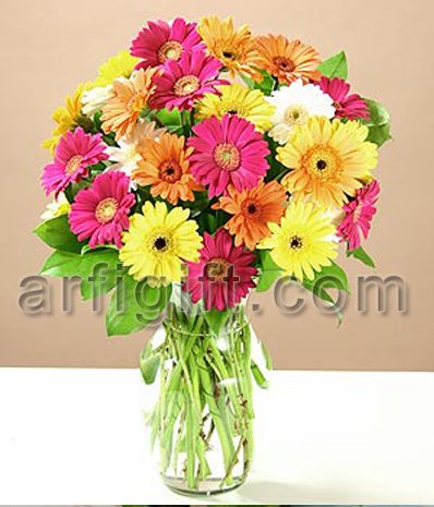 Send Gerbera With Vase to Bangladesh, Send gifts to Bangladesh